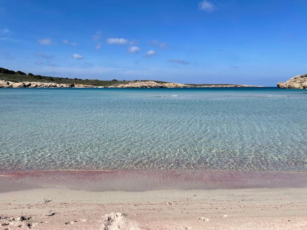Apartamento Brisa De Menorca Son Parc Buitenkant foto